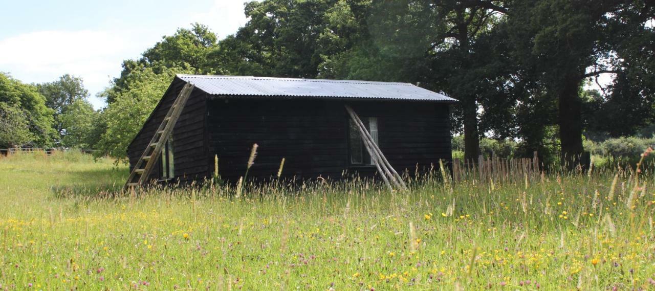 The Old Apple Shed Cosy Heated Cottage In A Meadow Close To The Charming Village Of Bethersden Ashford  Luaran gambar