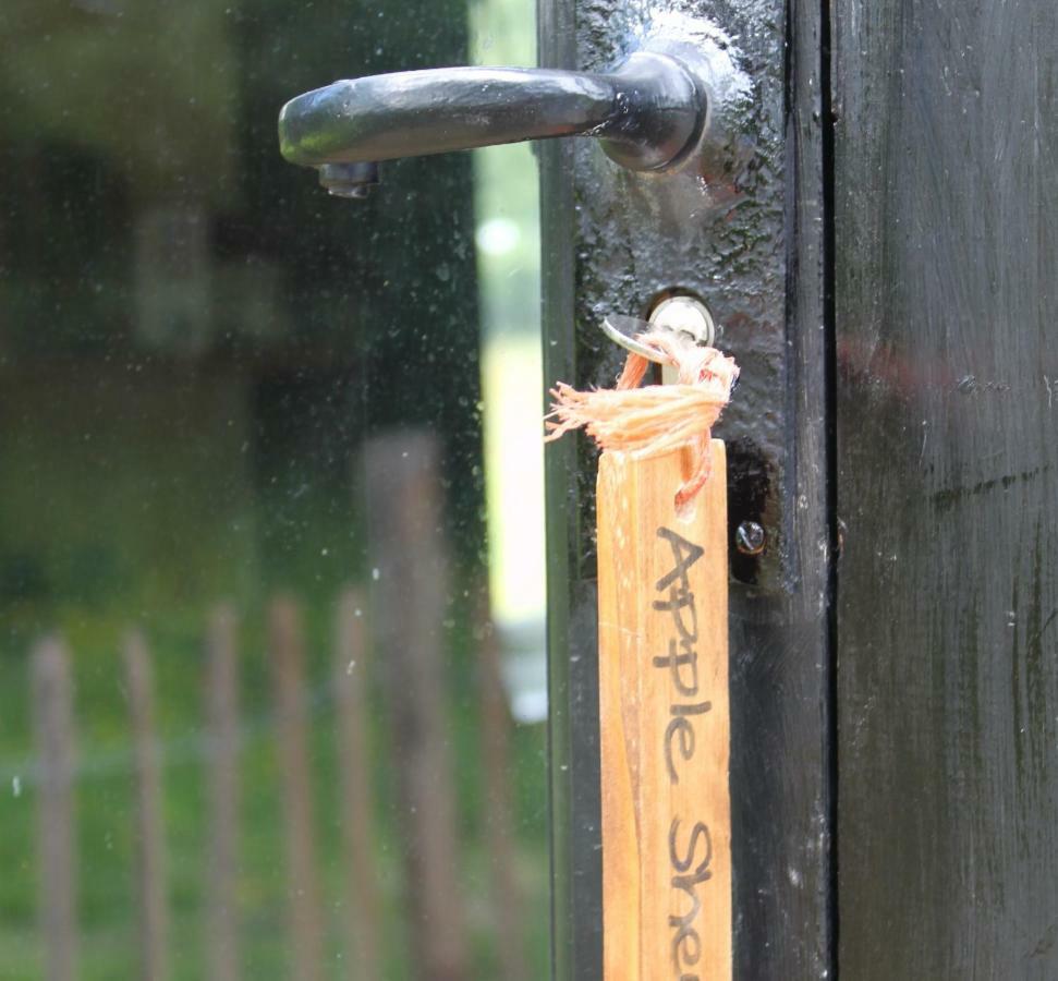 The Old Apple Shed Cosy Heated Cottage In A Meadow Close To The Charming Village Of Bethersden Ashford  Luaran gambar